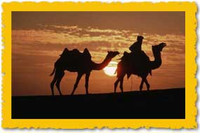 Jaisalmer