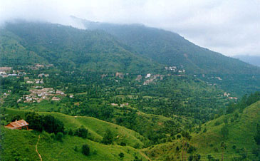 Kandaghat